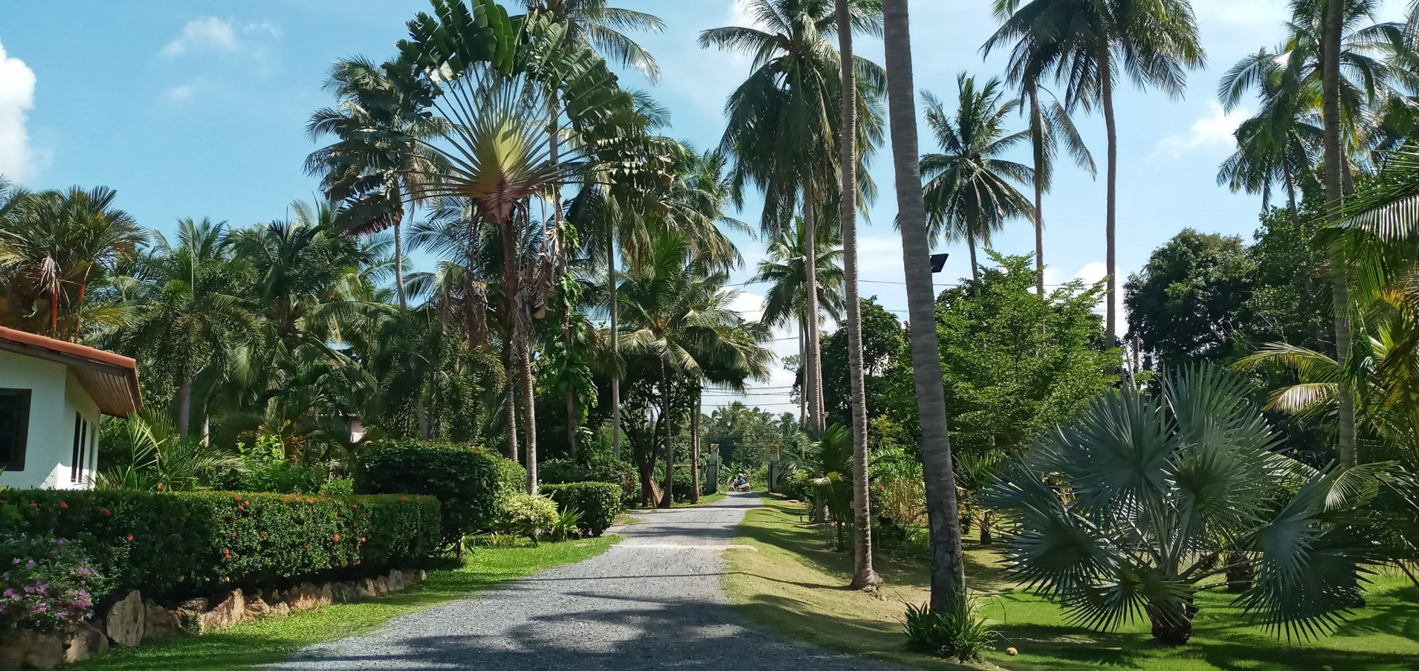 Issan Rhum by David - Ma Thailande